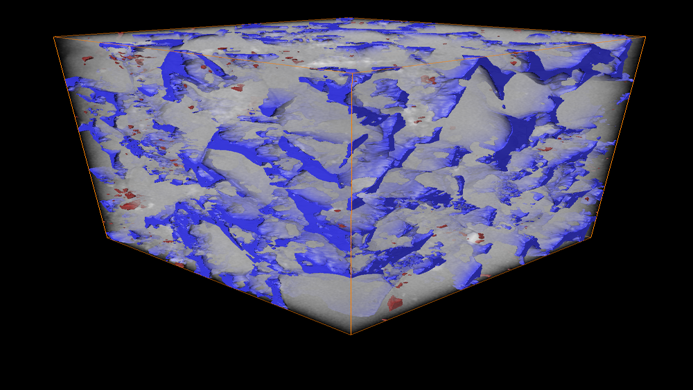 Digitization Services