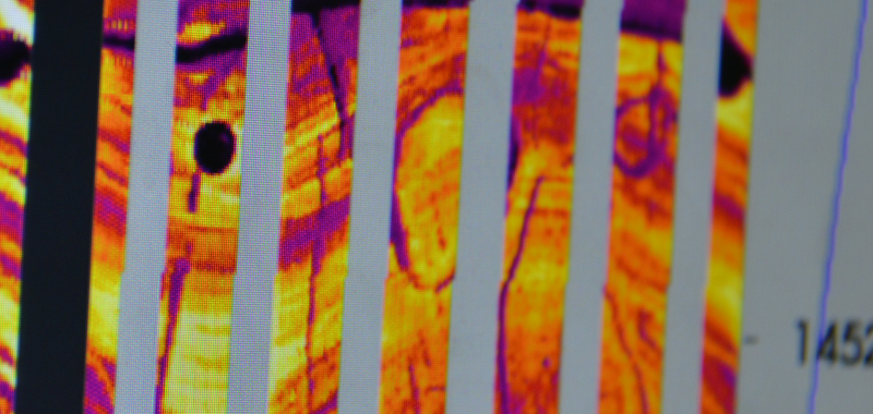 X-tended range micro imaging (XRMI) service